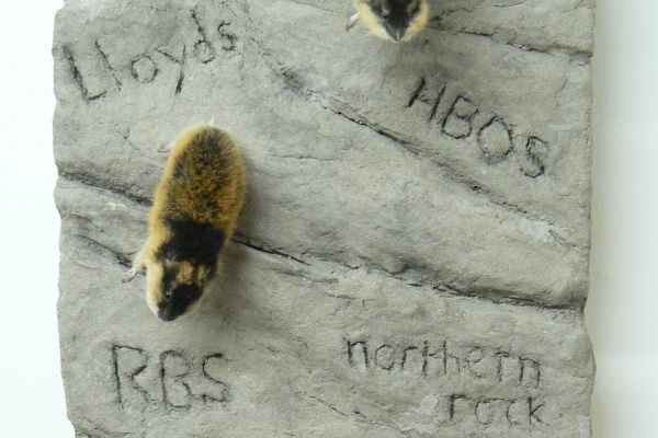 lemmings-006A9F1A349-22A1-EB46-BF02-97CD649B7905.jpg